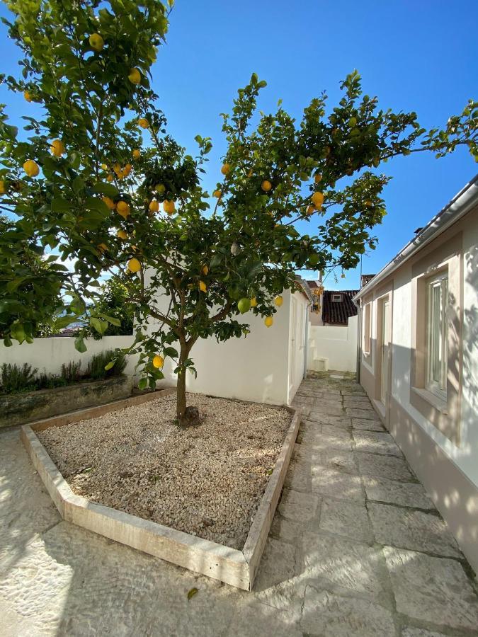 Se Velha Studios Coimbra Eksteriør billede